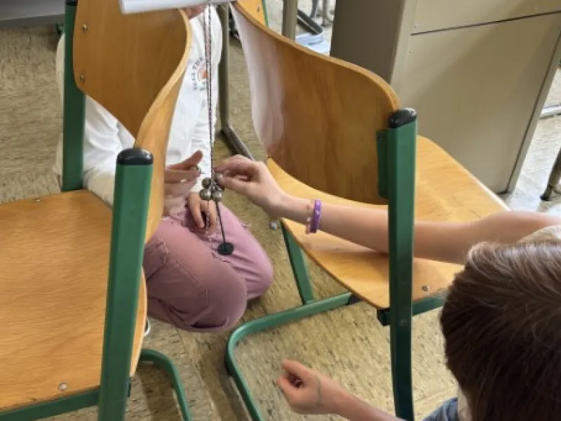 Knochen ist gleich Knochen?! – Nein!
