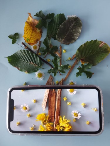 Phone Framing